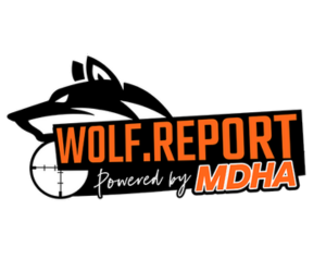Wolf Report